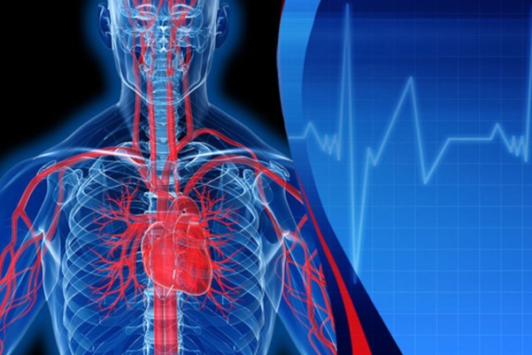 General Physician Chest Specialist Ahmedabad